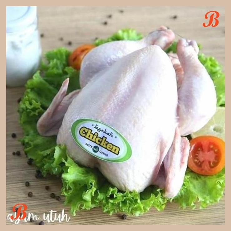 

| NN | AYAM BERKAH ORGANIK PROBIOTIK 800-900GR UTUH