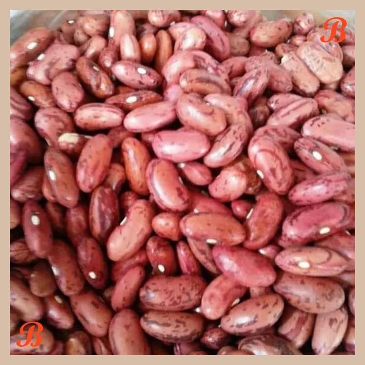 

| NN | KACANG MERAH ORGANIK 200GR