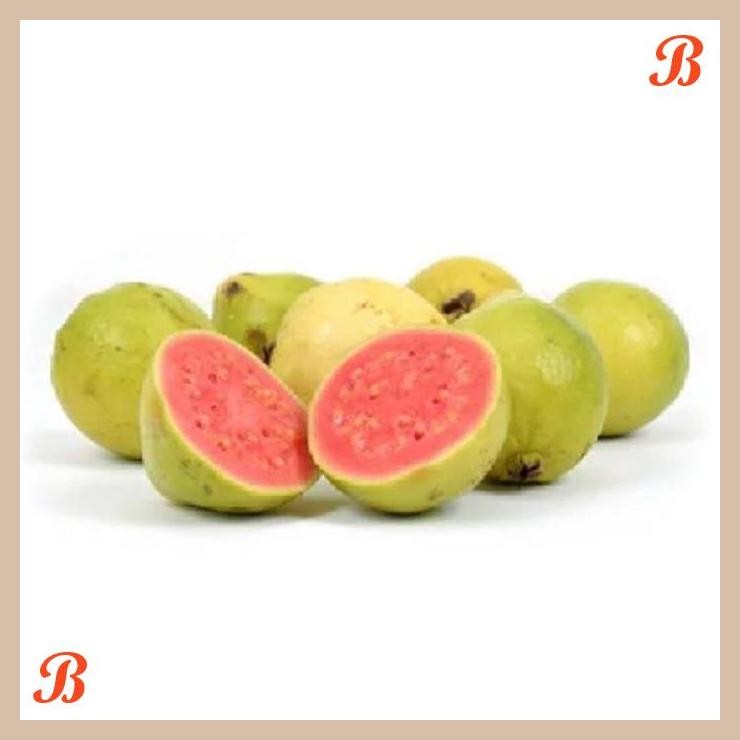 

| NN | JAMBU BIJI MERAH 500GR