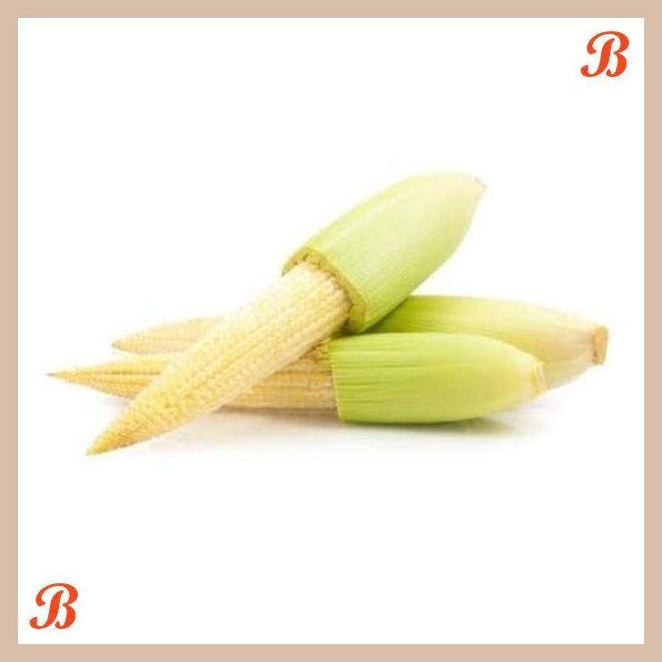 

| NN | JAGUNG BABY ORGANIK 200GR