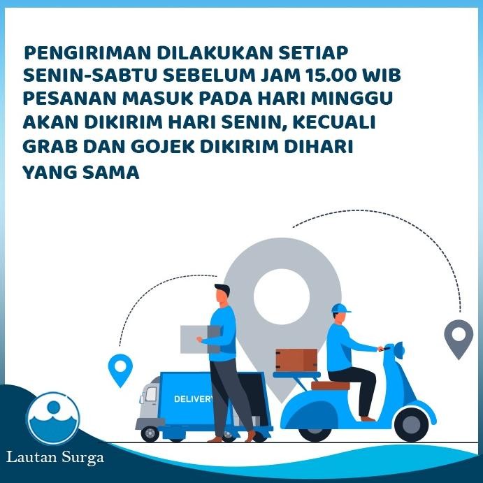 

Gratis Terlaris Bubble Wrap 125 X 50 M Murah Hitam / Putih Rt-4