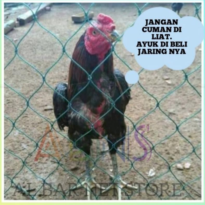 Super Gratis Jaring Pagar Serbaguna 3X10 Meter Lubang 2Cm X 2Cm Jaring Pagar Ayam Jaring Ayam Jaring