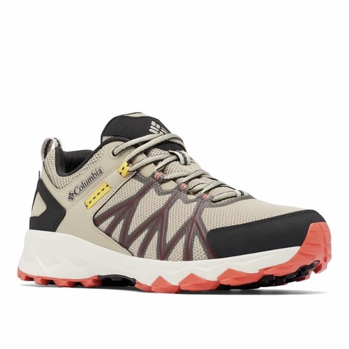 Columbia Men's Peakfreak II Outdry Shoes