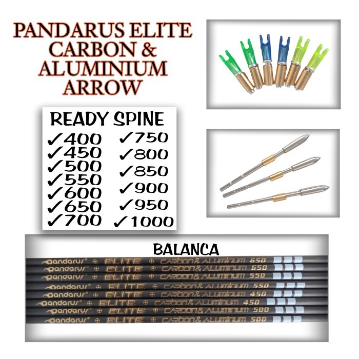 PANDARUS ELITE Carbon & Aluminum Arrow Spine 1000 - BELUM DIRAKIT