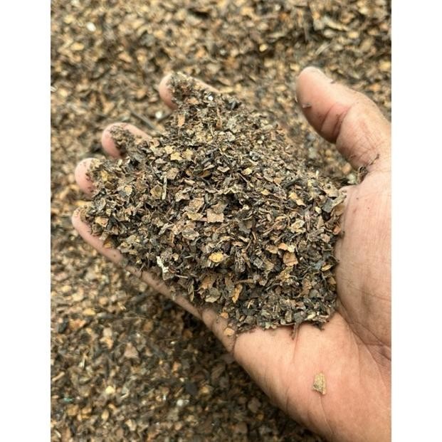 ASLI!! KOMPOS DAUN TREMBESI FERMENTASI (1KG)