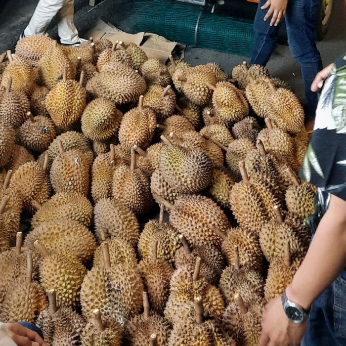Paling Baik Durian Bulat Utuh Montong Palu Parigi 6Kg X 75Rb
