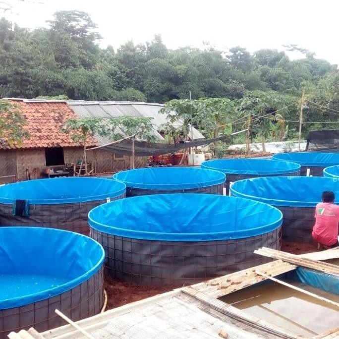 

kolam terpal bulat Diameter 3.T.1.2