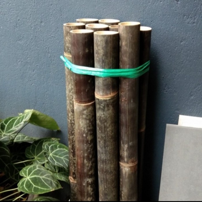 

Bambu hitam glondongan super/ Bambu wulung 200 cm