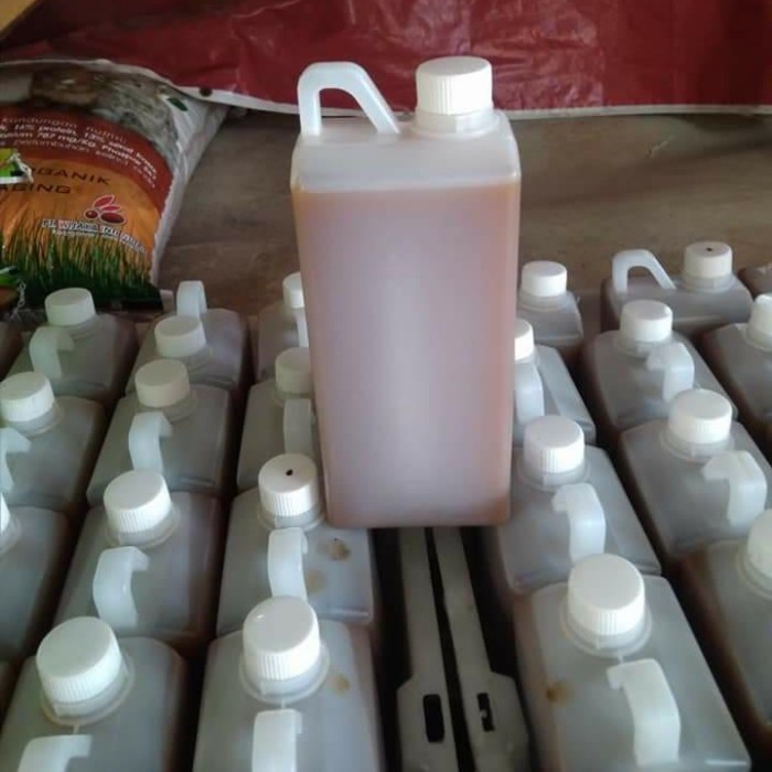 

pupuk air kencing kambing permentasi 5 kg
