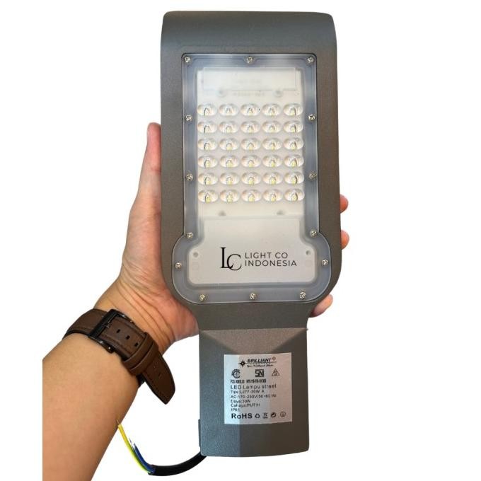 HARGA DISC - Lampu jalan led 30watt 50watt 100watt brilliant High brightness good quality / lampu pj