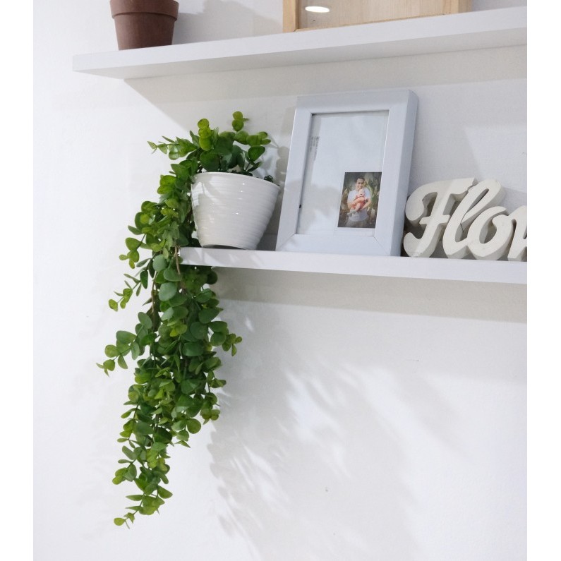 Tanaman Gantung Plastik Eucalyptus
