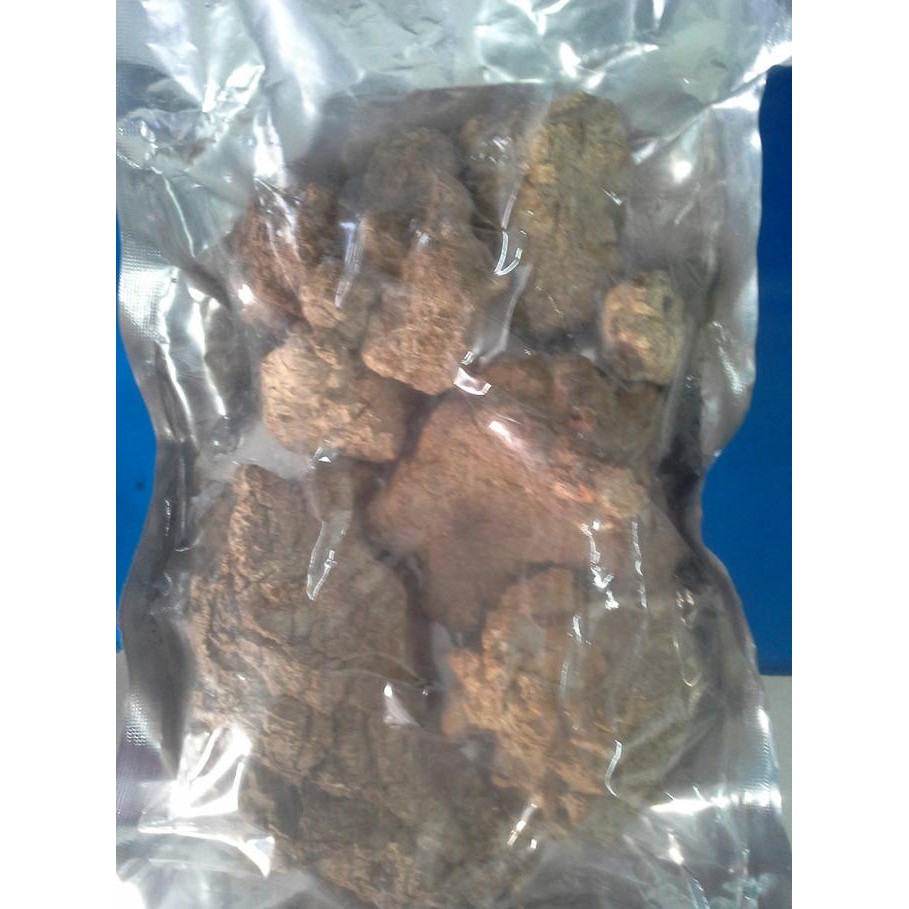 :::::::] Jamur susu harimau