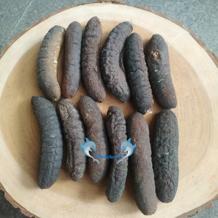 

Haisom/ Teripang / Lintah Laut/ Sea Cucumber Asli Belitung Isi 10 500G Barangbaru