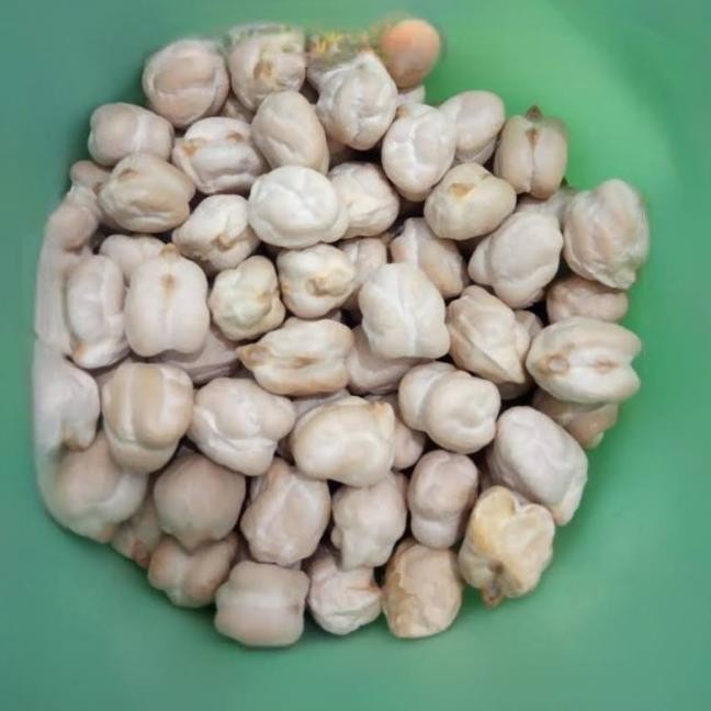 

Natural Raw Chipea.White Chole Kacang Arab Mentah.Garbanzo 1 Kg