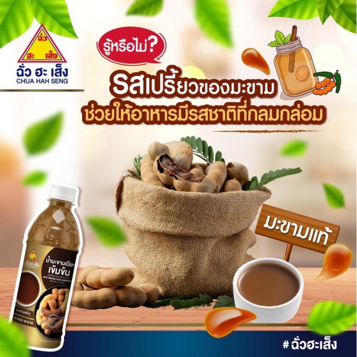 

Chua Hah Seng Chili Paste 500g Sour Tamarind Paste 380ML Thai Hot Basil Stir Fry Sauce 230GR Thai