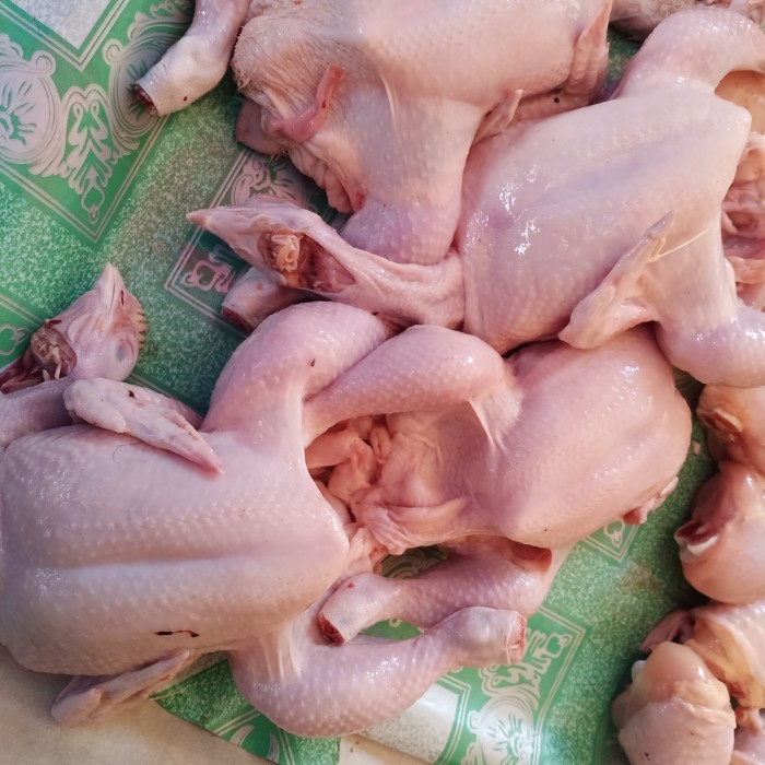 

Daging Ayam Negeri Jumbo Fresh 1 Ekor
