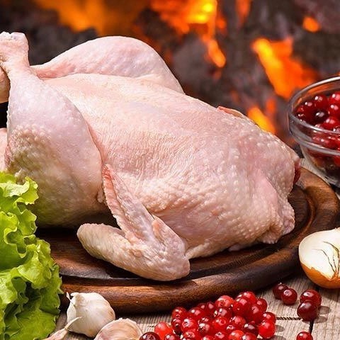 

Ayam Potong Segar Fresh ( Bukan Frozen)