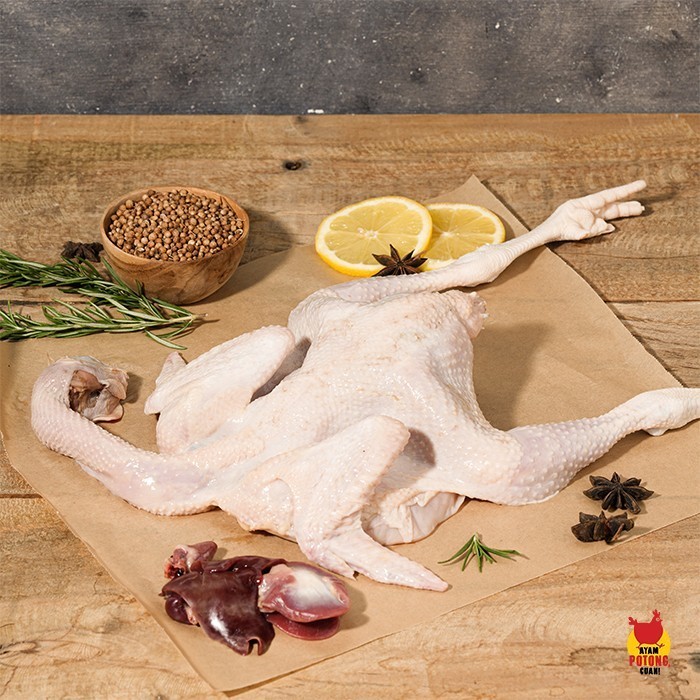 

Ayam Pejantan/Ayam Potong Fresh 1Kg (Hidup) -Gratisongkir