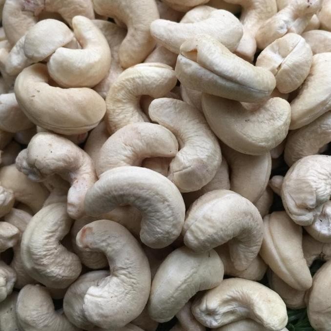

terbaru kacang mente / kacang mede
