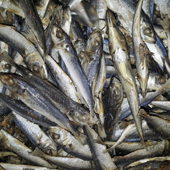 Ikan Rebusan Layang/Ikan Cuek Kecil Rebus