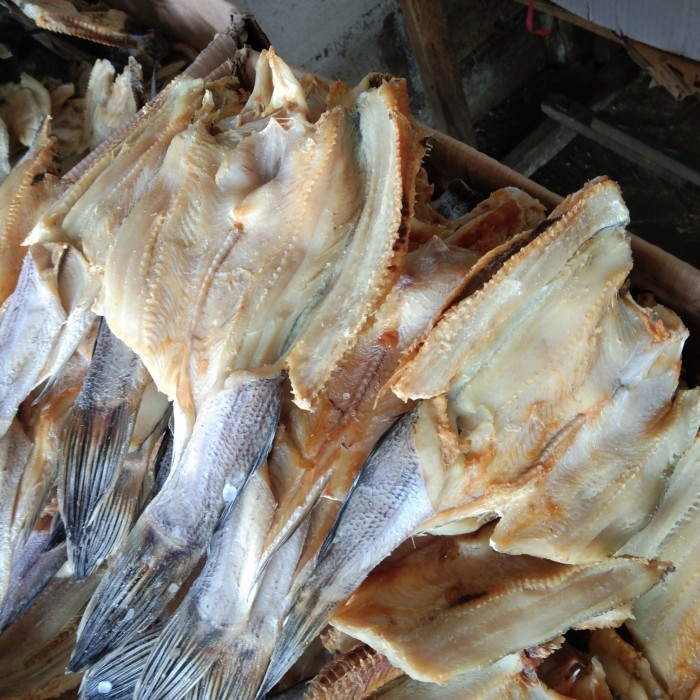 

Ikan Asin Gabus Besar Tmk Super