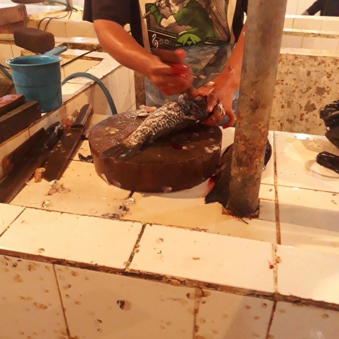 

Ikan Mas Hidup / Ikan Nila Hidup Segar Fresh 1,5Kg