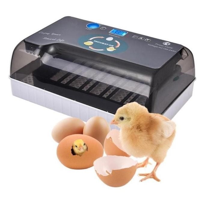 20 EGG INCUBATOR MESIN TETAS PARROT BURUNG HHD 20 OTOMATIS MIRIP RCOM