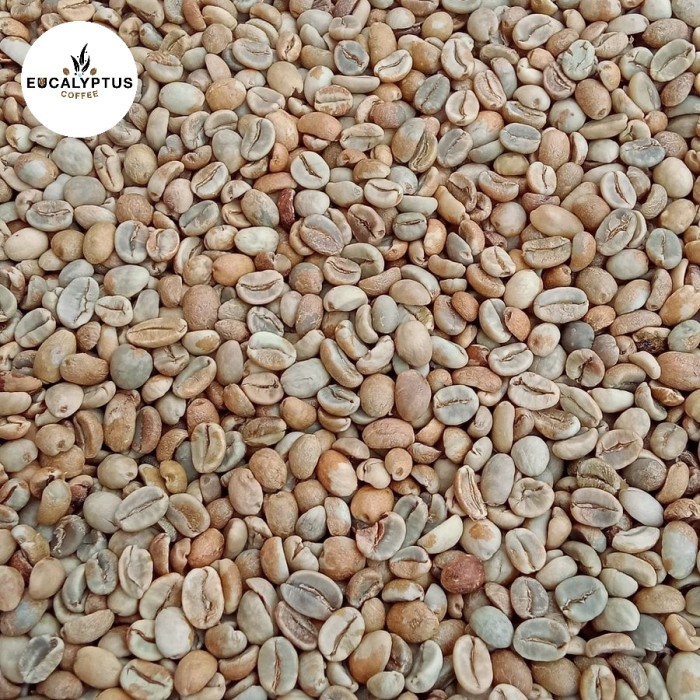 

Malabar Natural Anaerob - Arabika - Greenbean / Biji Kopi Mentah Terlaris