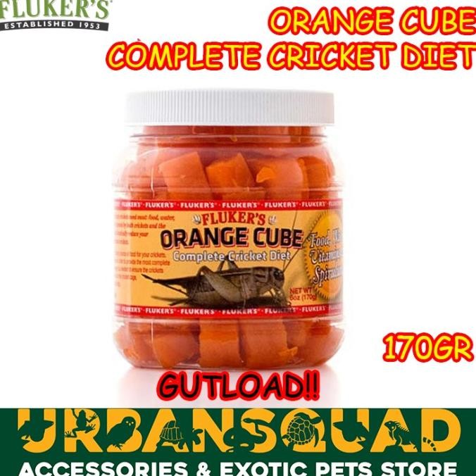 

FLUKER ORANGE CUBE CRICKET DIET GUT LOADER 170GR GUTLOAD SERANGGA ORIGINAL DAN TERPERCAYA