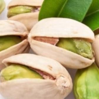 

READY STOCK BIBIT PILIHAN KACANG PISTACHIO KOREA | BIJI BIBIT PISTACHIO KOREA !!!!!