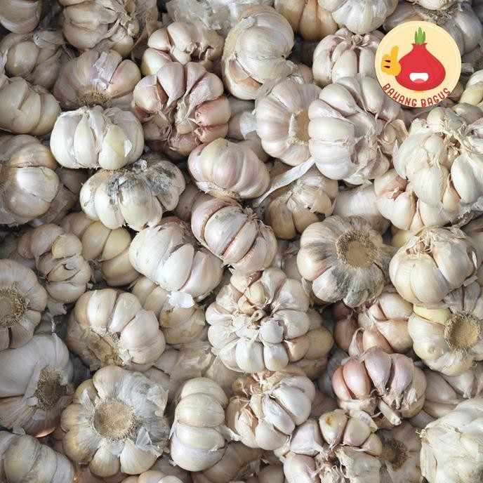 

BAWANG PUTIH 1kg/BAWANG PUTIH/BAWANG PUTIH HONAN/BAWANG PUTIH SUPER