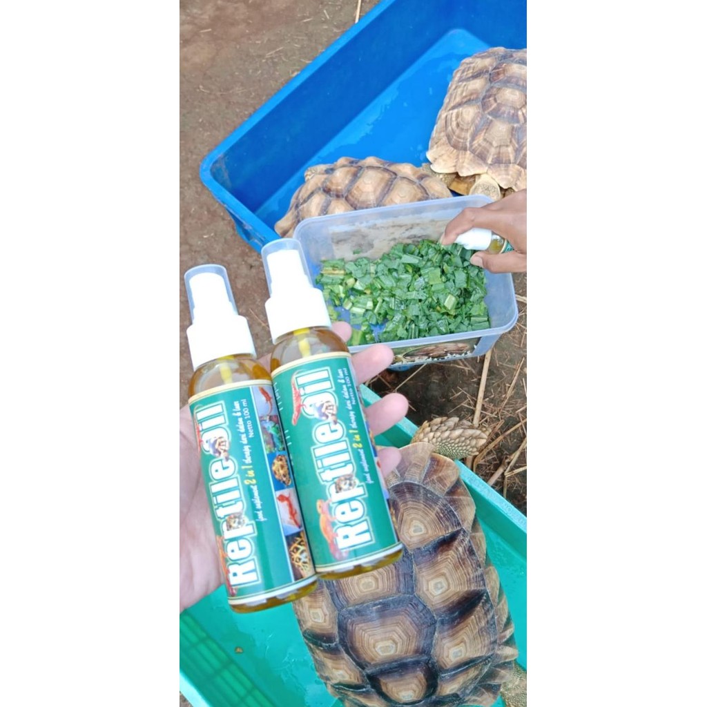Reptile Oil / Vitamin Reptile , Torto