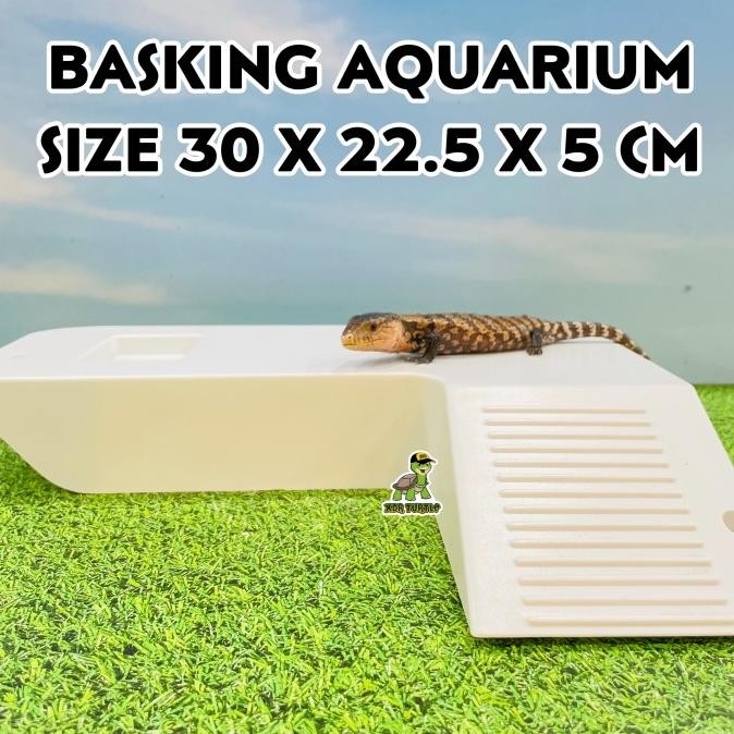BASKING KURA KURA AIR COCOK UNTUK TERRARIUM BRAZIL AQUATIC UNIFILIS