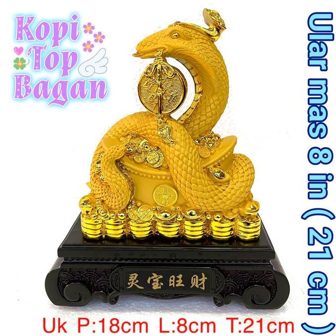 ULAR EMAS GIGIT KOIN YANPAU UANG UK 8 IN 21 CM GOLDEN SNAKE TAEL COIN SHIO ULAR MAS KOIN YAN PAU GUN