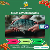 

Ikan Nila Segar - PSC. Lampung