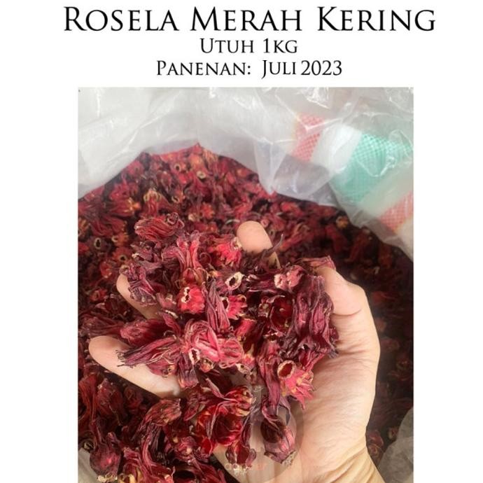 

DISKON Rosela Merah 1kg