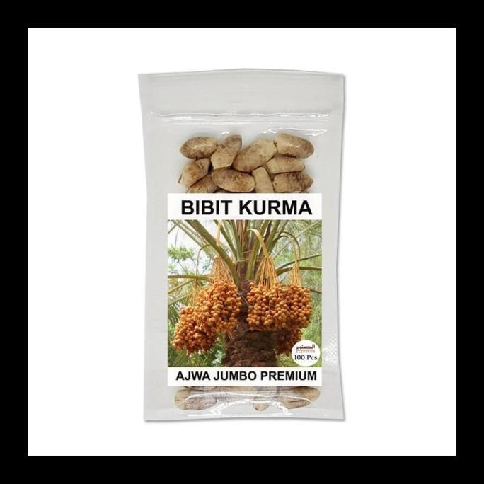 

FRES FRESH BIBIT KURMA AJWA / KURMA AJWA JUMBO / BENIH AJWA UNGGUL FRESH