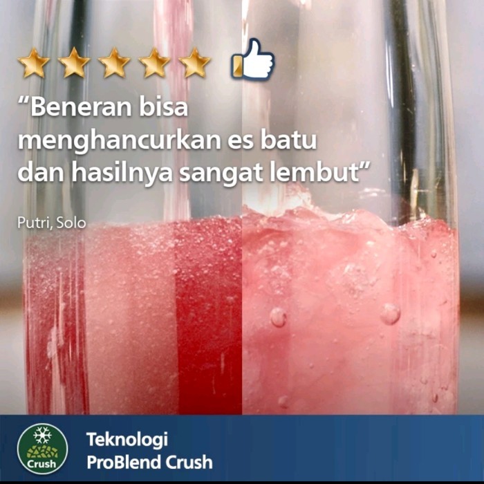 PHILIPS BLENDER HR2223 RESMI 4IN1 HR 2223
