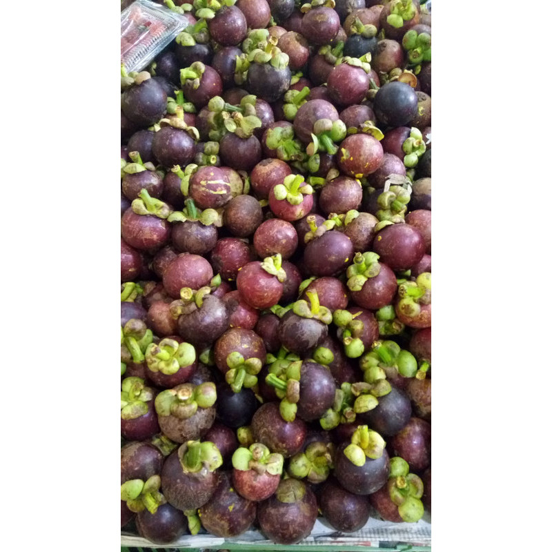 

Manggis bogor 500 gr