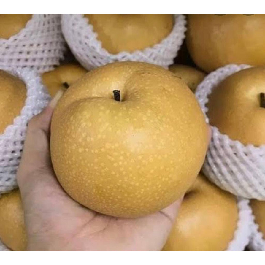 

Pear singo 1 kg