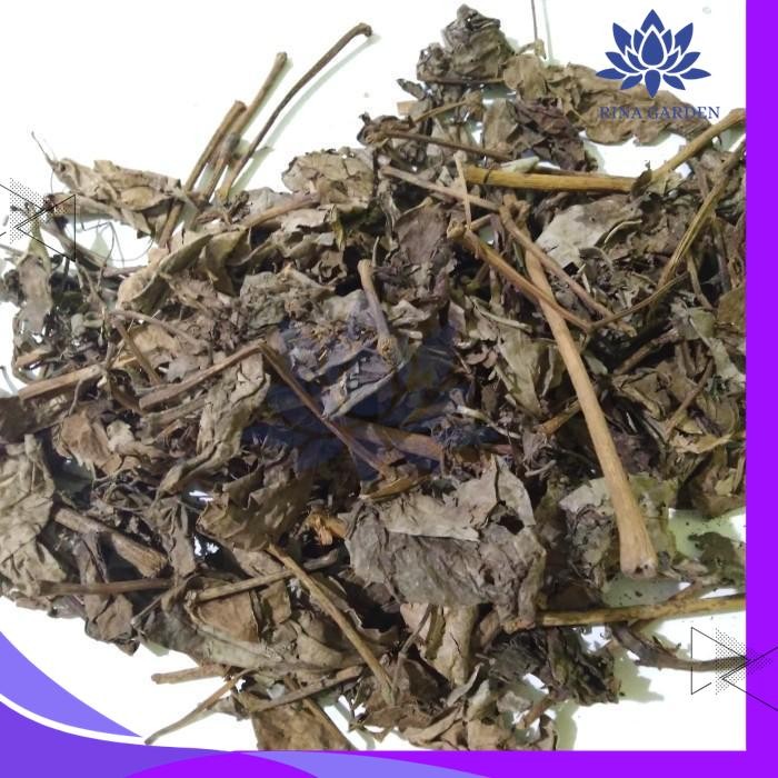 

DAUN SIRIH KERING 1KG / DAUN SIRIH HIJAU KERING GRATIS ONGKIR