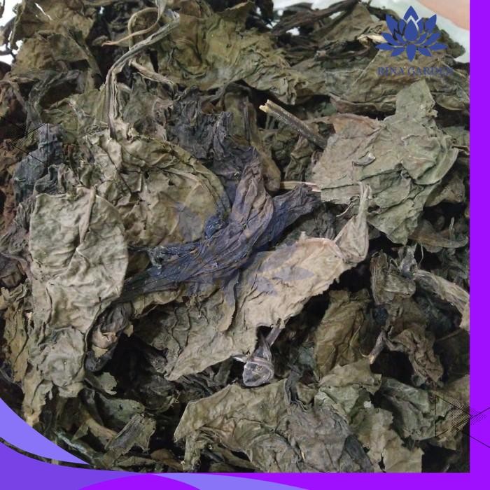 

DAUN UNGU KERING 500GR / HERBAL DAUN UNGGU KERING MURNI TERJAMIN BEST