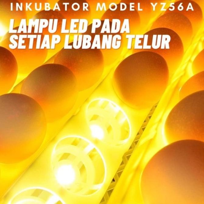 Inkubator Incubator Mesin Tetas Penetas Telur Burung Ayam Otomatis