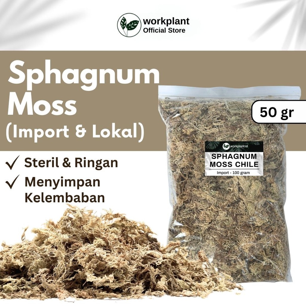 Workplant - Spagnum Moss Chile Media Tanam Tanaman Hias