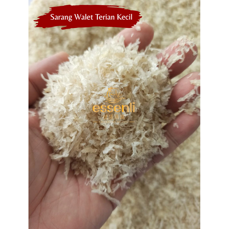 

Birdnest / Sarang Burung Walet Rontokan / Sarang Burung Walet Hancuran