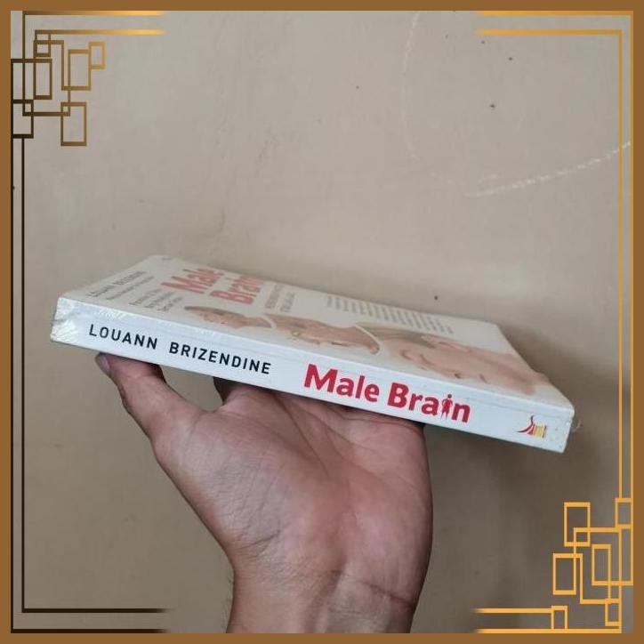 

[ADG] Buku Male brain Louann brizendine