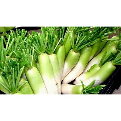

Lobak asin besar 100 gr