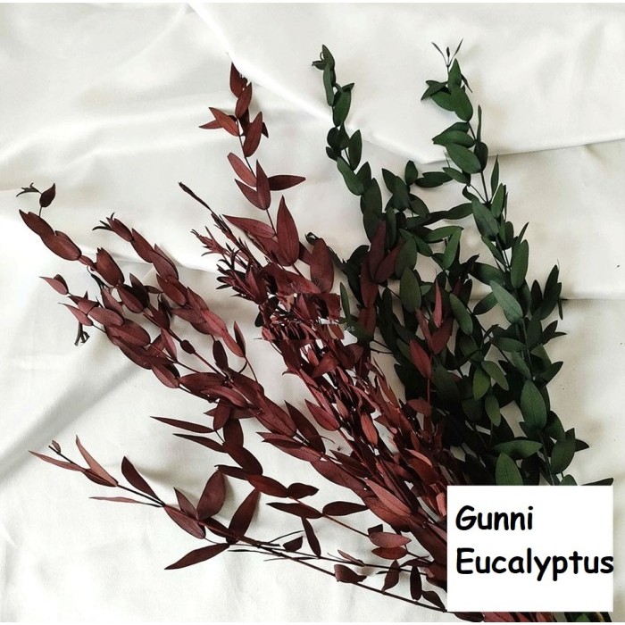 

ZU558 Mini Dry Leaves - Daun Kering Mini (1pack) FREE ONGKIR
