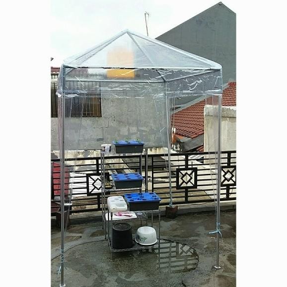 Tenda Green House Atap Plastik Mika Bening Ukuran 1.5X1.5 Meter