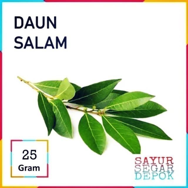 

DAUN SALAM SEGAR